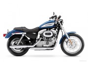 Harley-Davidson XL 1200 C Sportster